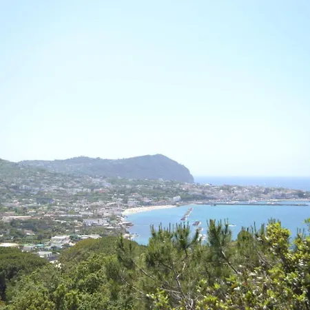 Forio Casa Villa, La Grille Du Coq 2 Il Prezzo Della E Riferito All'intero Con Il Limite Delle Persone Previste N 4 * イスキア島