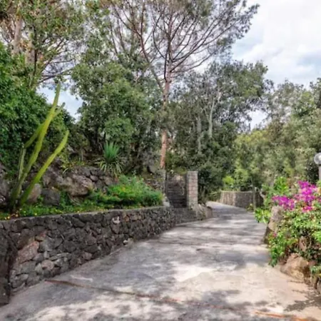 Holiday home Forio Casa Villa, La Grille Du Coq 2 Il Prezzo Della E Riferito All'intero Con Il Limite Delle Persone Previste N 4